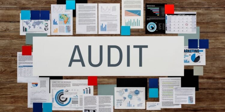 Tax audit