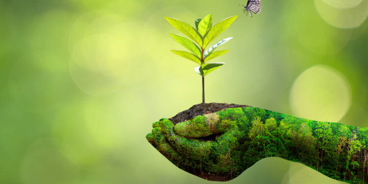 environment Earth Day In the hands of trees growing seedlings B - Pratama Institute Mengapa Laporan Keberlanjutan Penting bagi Perusahaan Modern?