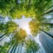 - Pratama Institute Sustainability report