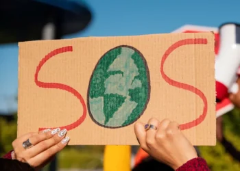 Greenwashing
