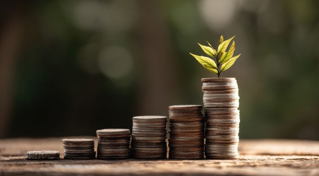 ESG and Investment